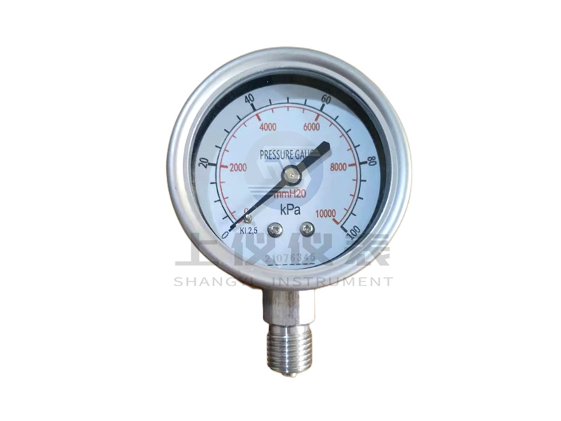 YE系列 PRESSURE GAUGE